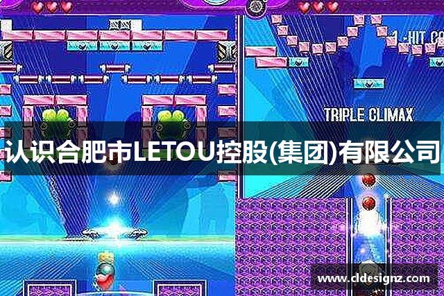 认识合肥市LETOU控股(集团)有限公司